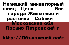 Немецкий миниатюрный шпиц › Цена ­ 60 000 - Все города Животные и растения » Собаки   . Московская обл.,Лосино-Петровский г.